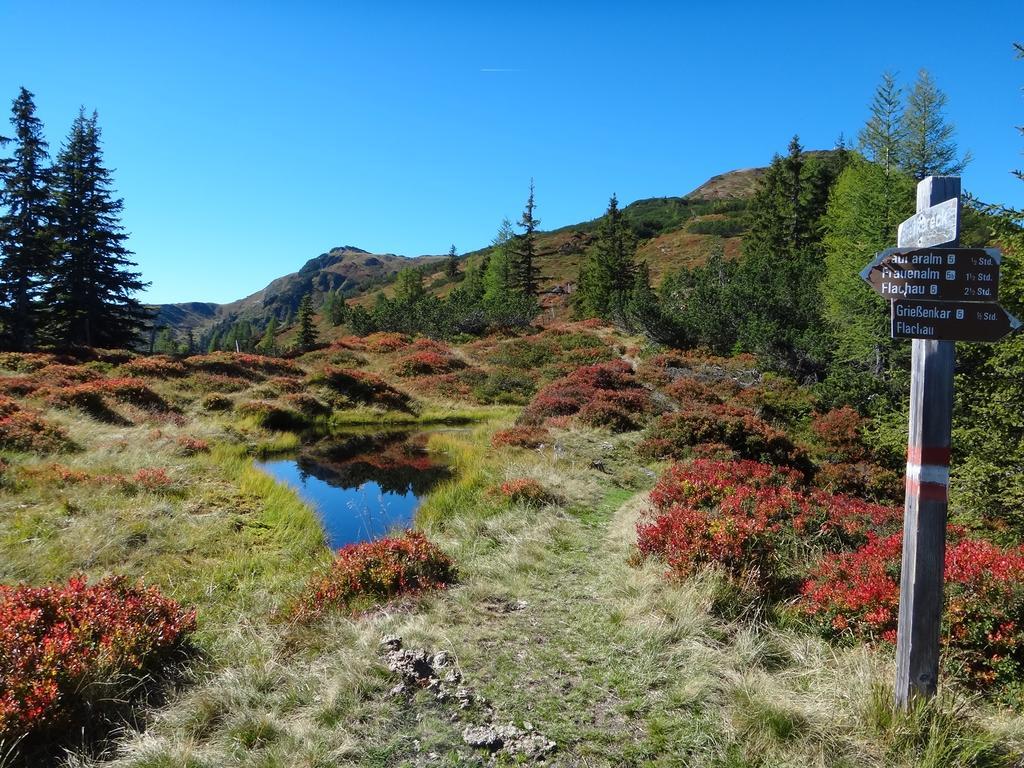 Ausserraingut Flachau Zewnętrze zdjęcie