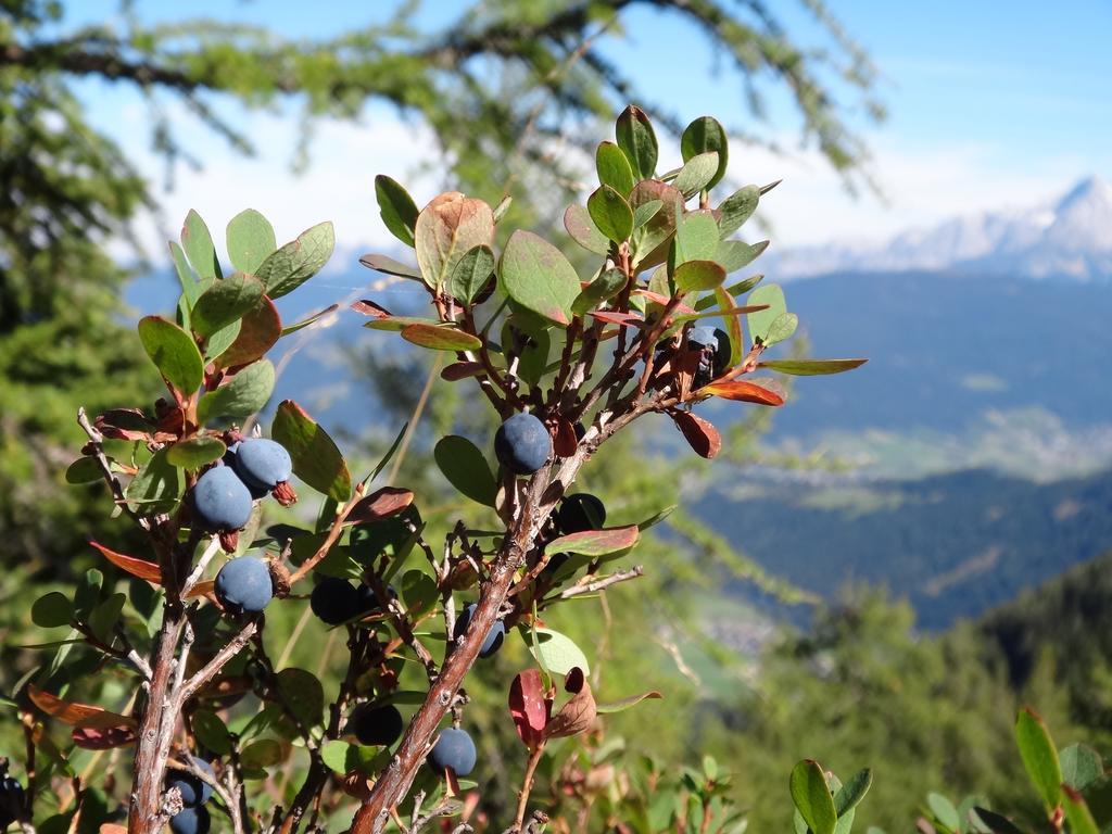 Ausserraingut Flachau Zewnętrze zdjęcie