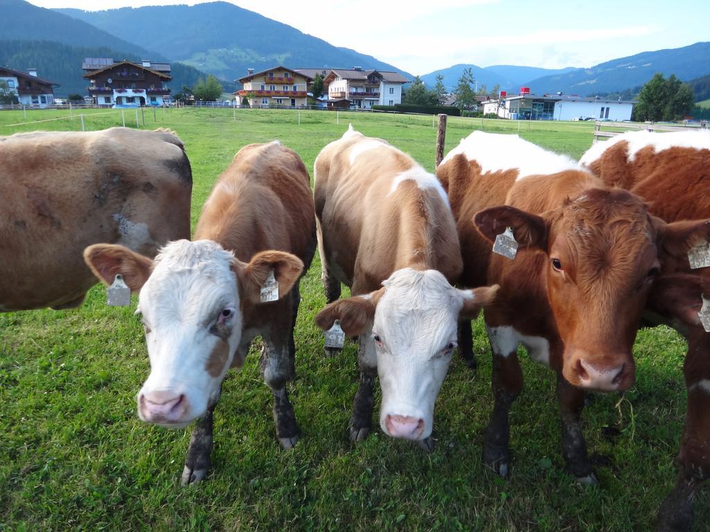 Ausserraingut Flachau Zewnętrze zdjęcie