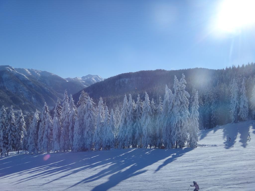 Ausserraingut Flachau Zewnętrze zdjęcie
